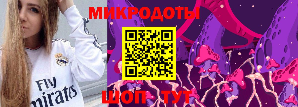 Псилоцибиновые грибы Psilocybe Чапаевск